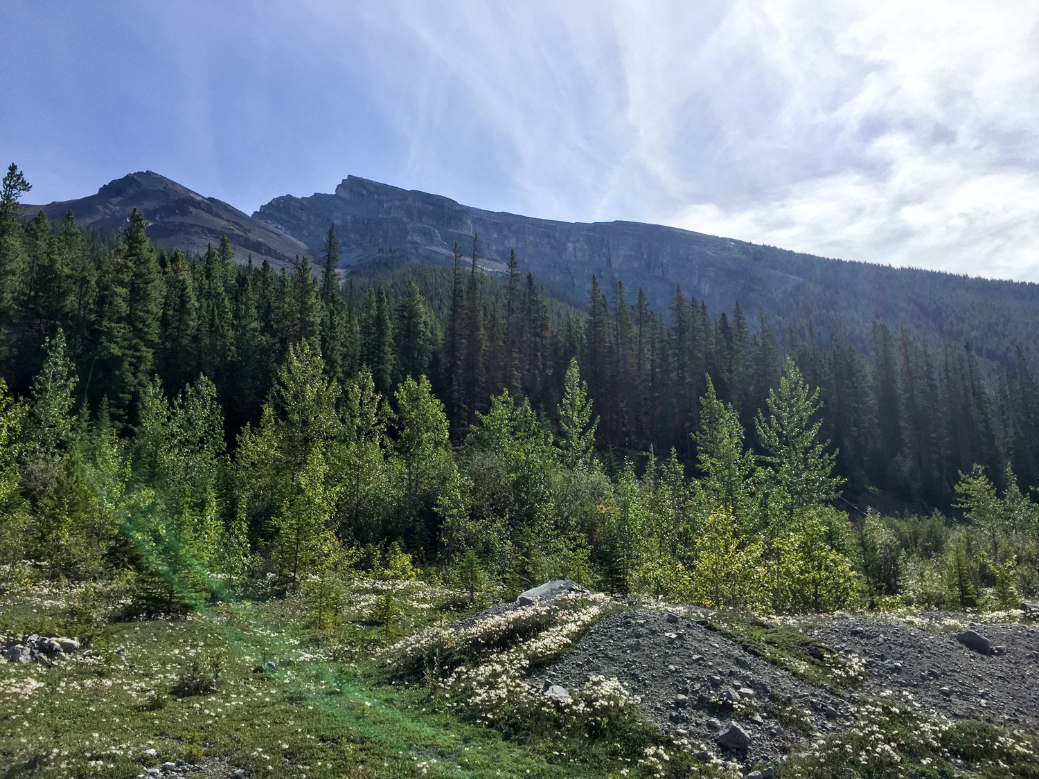 Mount Lawrence Grassi coming into view. I probably should have just stuck with Ha Ling *gulp*