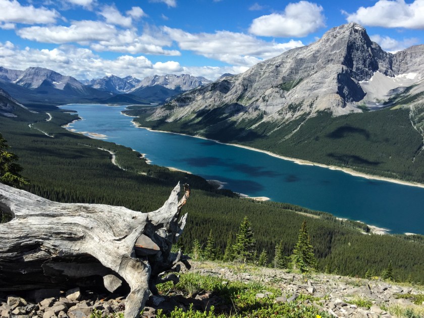 The Spray Lakes provide an fantastic backdrop to the hike