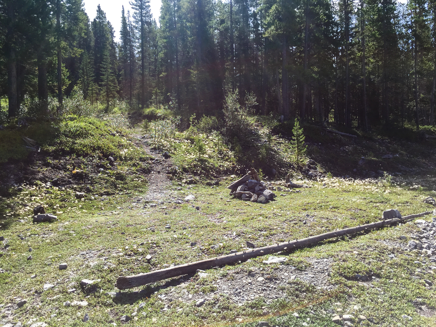 After walking for about 20 minutes, look for this cairn on the left