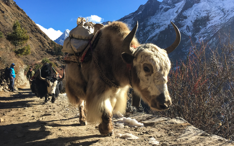Reflection En Route to&nbsp;Tengboche