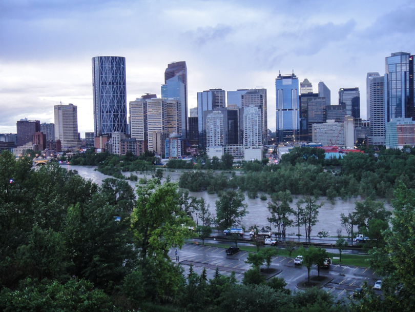 Protecting Sunnyside