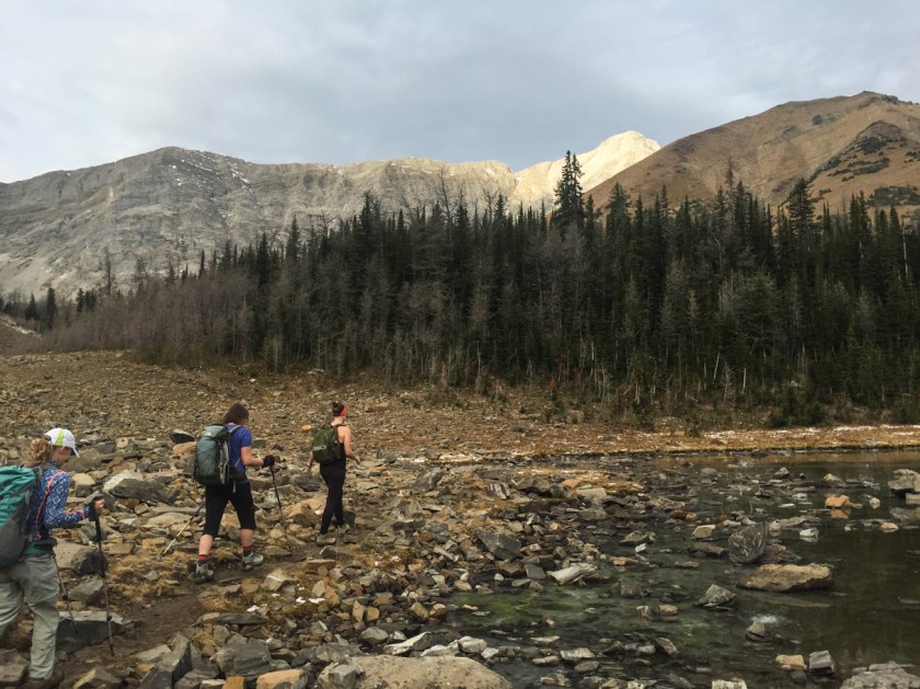 Hiking onward to the ridge (on the right). The larches have lost their leaves, a sign that winter is around the corner.