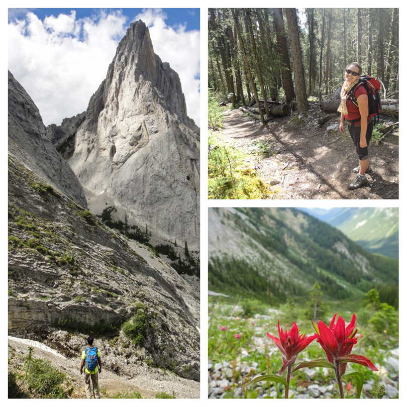 Hiking along Edith Pass Trail