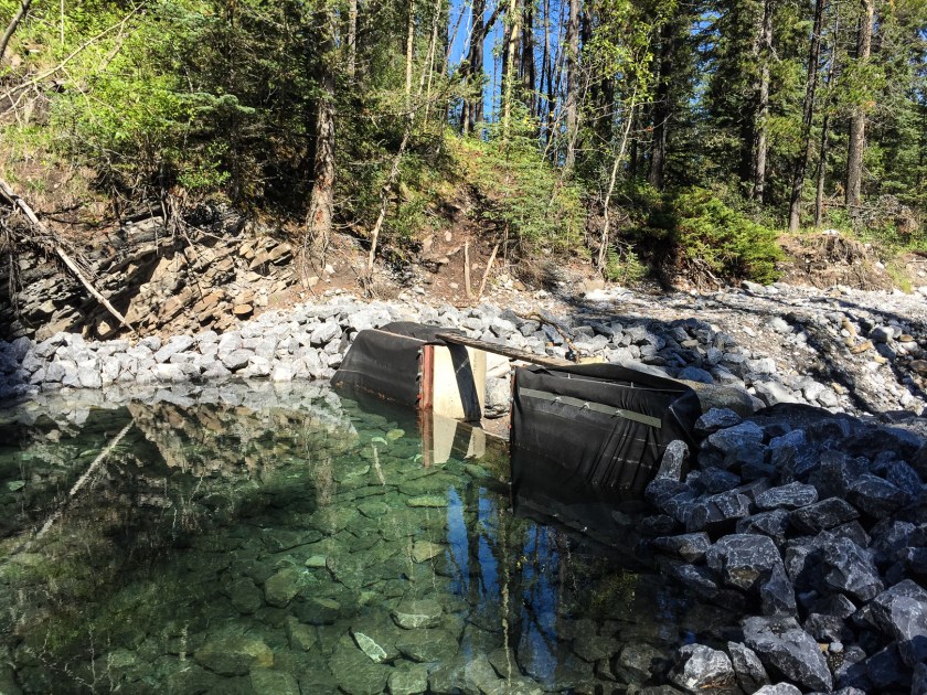 We crossed this little dam to the trailhead