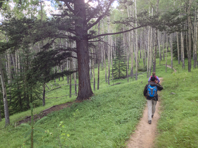 Almost back to the car, thank goodness...