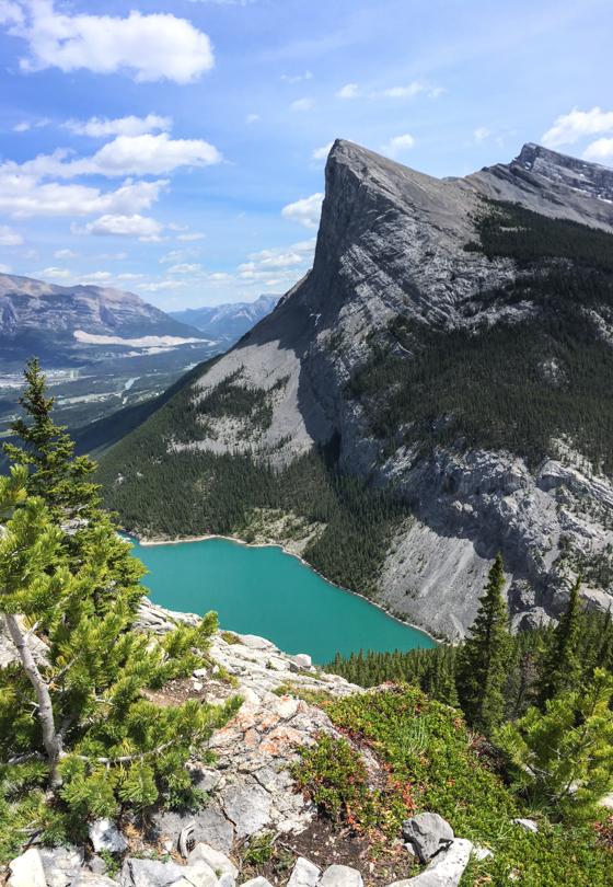 Gazooks. Ha Ling is so beautiful.