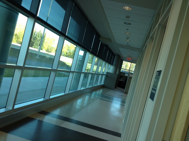 A Rolling Stone Gathers No&nbsp;Moss