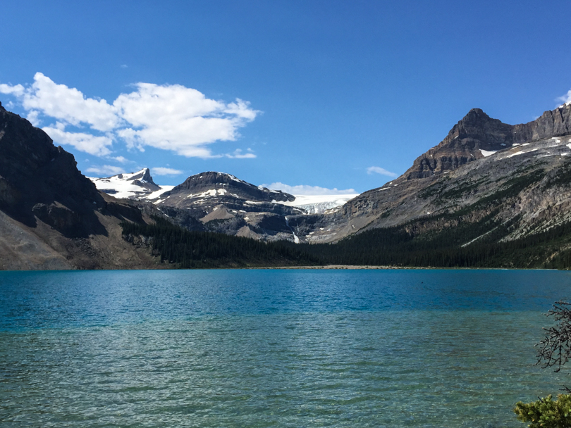 Bow Lake. Gorgeous.