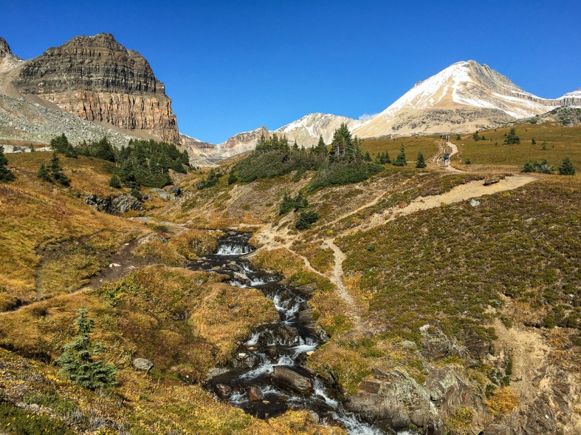 What an area this is!