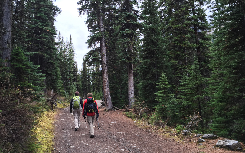 The first 3 km: through dense forest on a hiking/mountain-biking trail