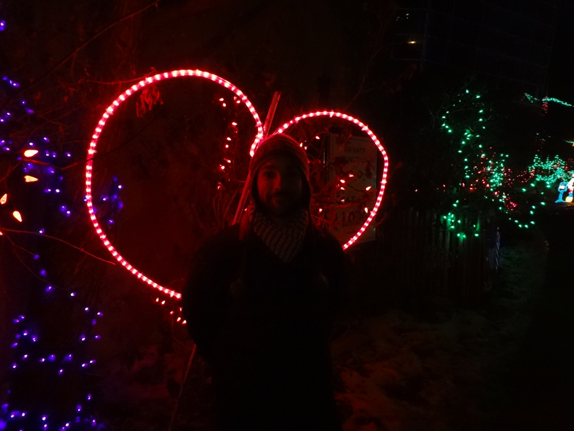 Zoolights2012-3