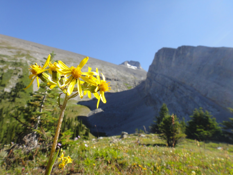 Mount Sparrowhawk on the left. Read’s Ridge on the right.