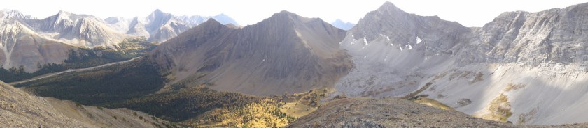 Almost at the top, but I had to stop for a photo!