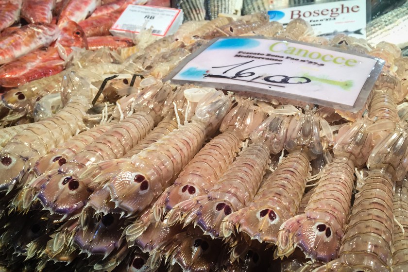 Canocce in the Rialto Market