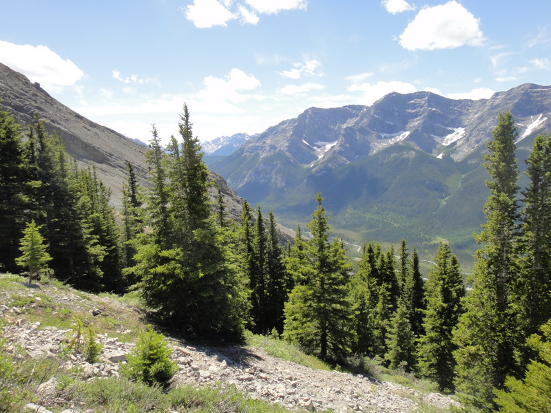 Less than half way up the mountain