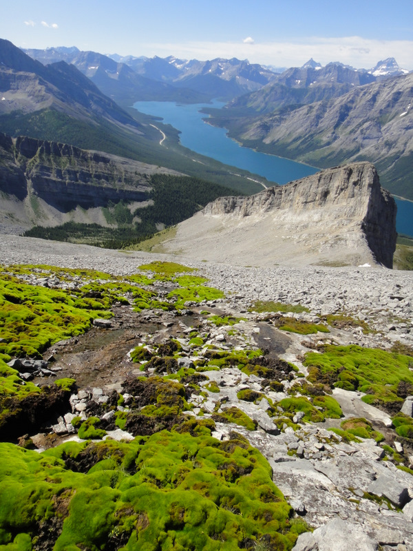 Read’s Ridge is looking quite small now