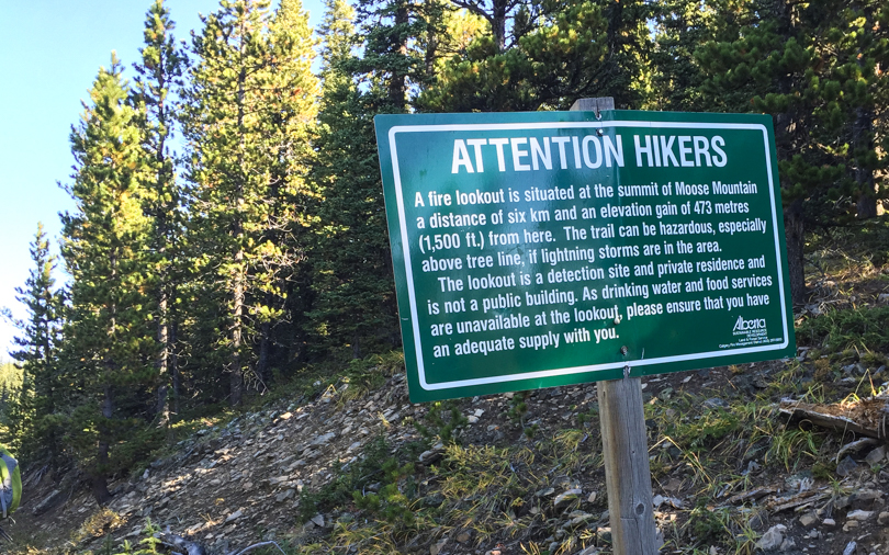 An elevation gain of 473 metres to the Moose Mountain fire lookout