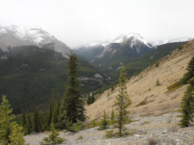 Nihahi. Third time is a charm :)