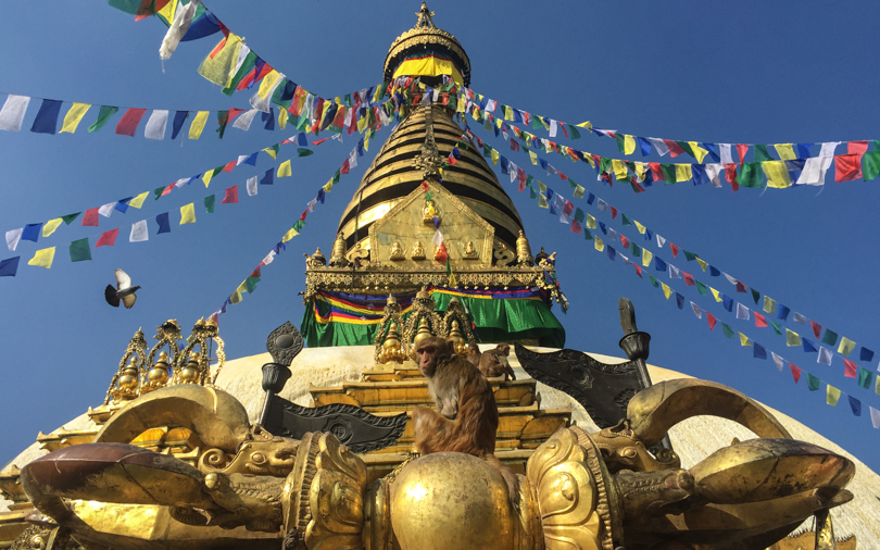 At the Monkey Temple