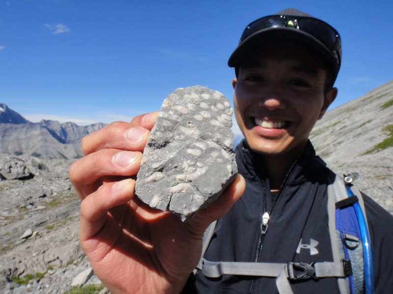 What an interesting rock…