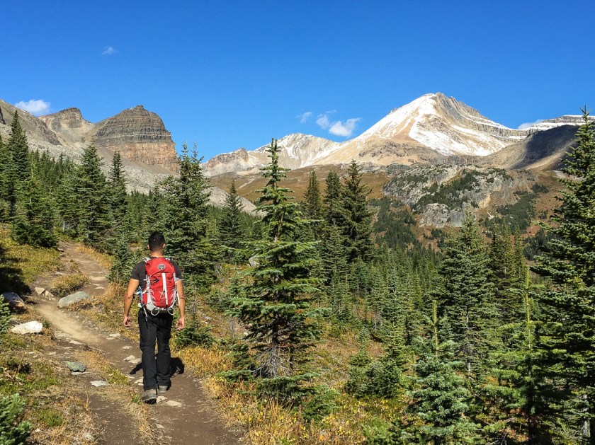 Hiking through the valley. Cirque Peak on the right doesn't look too bad from here....