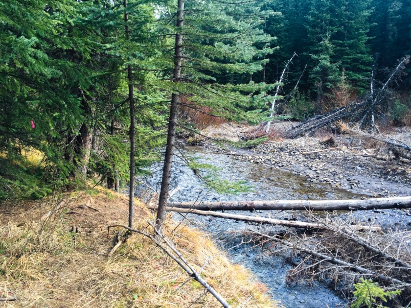 Crossing a stream at the end of hike near the Little Highwood Pass parking lot