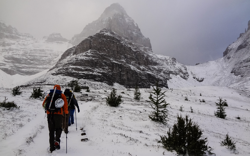 The Year of…&nbsp;2015