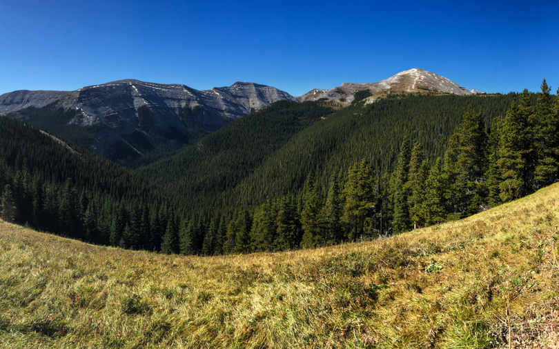 En route to the fire lookout, there's a beautiful meadow