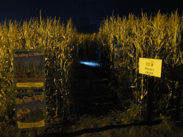 CornMaze1