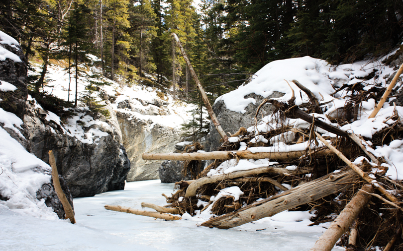 Flood debris near the entrance to the Grotto Canyon Ice Walk