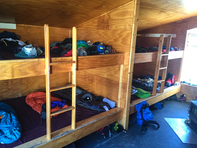 Geeze... so busy. So many smells.