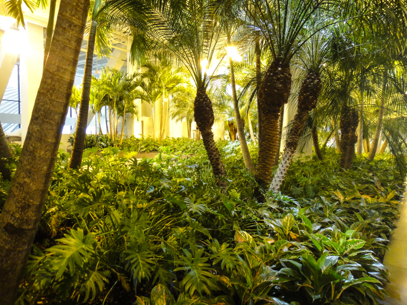 Devonian Gardens. Four Years&nbsp;Later.