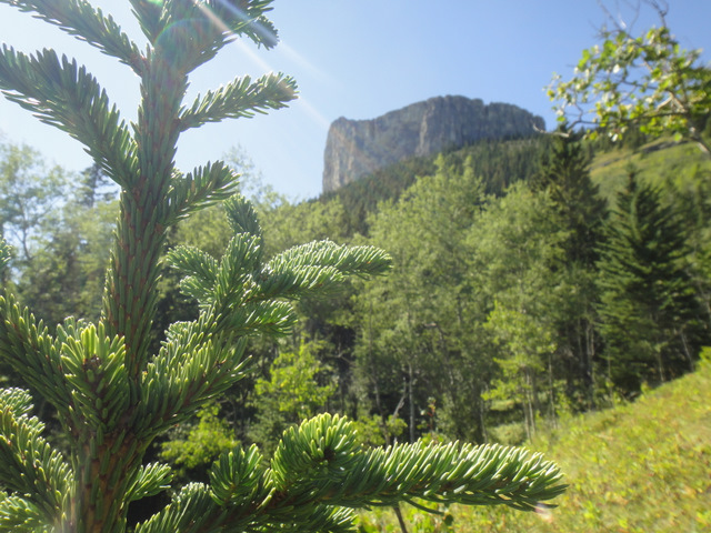 Yamnuska… I conquered you!