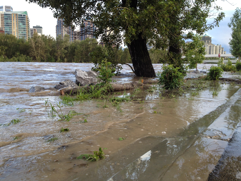 Along the bike path on Memorial Drive
