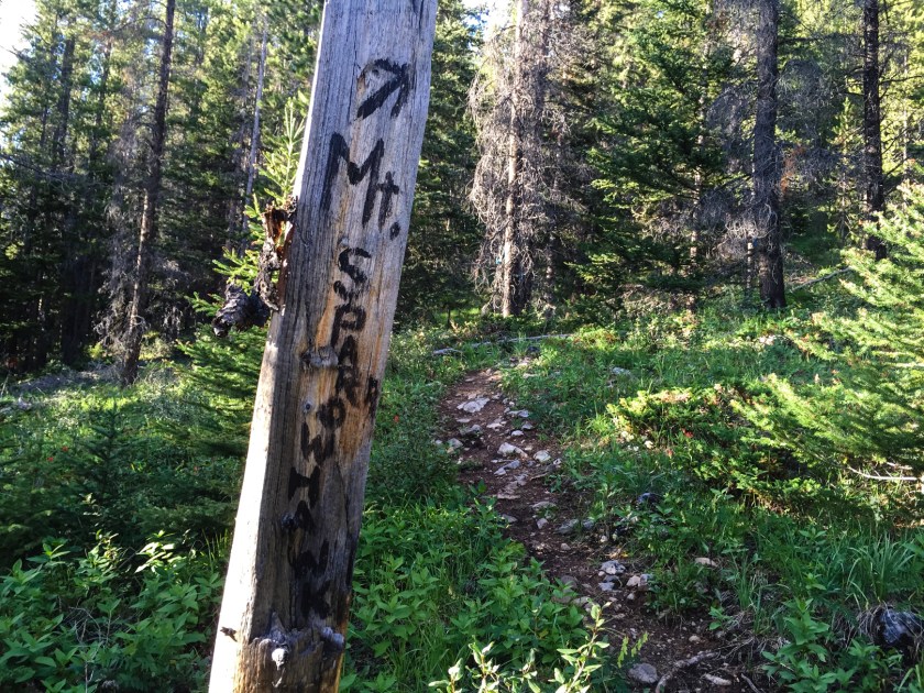 Look for the sign and turn left