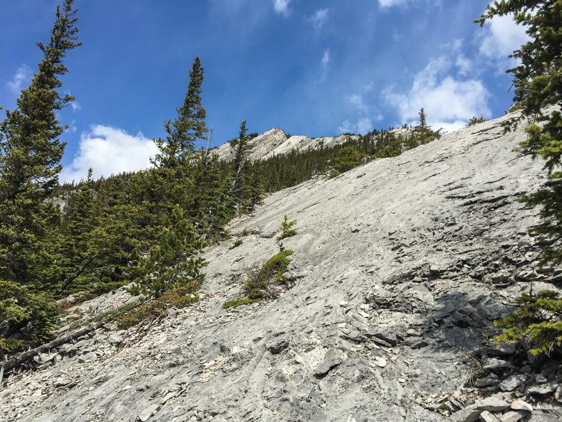 Rock slabs. Fun to ascend... not fun on the way down.