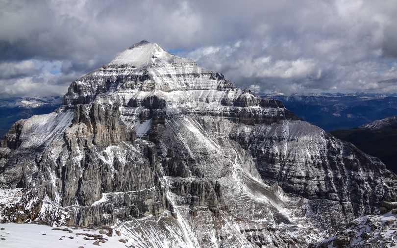 2015- It's going to be a good year