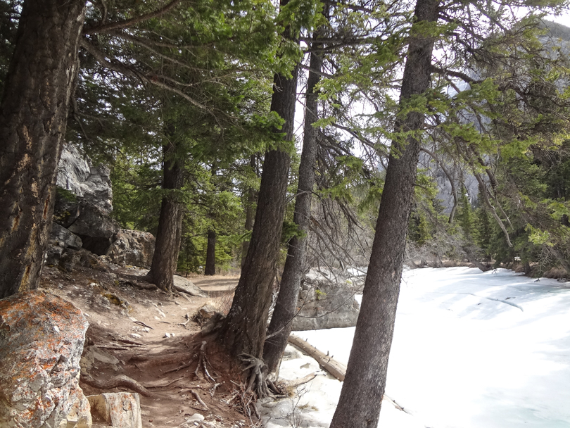 A lovely walk on the Hoodoo Trail