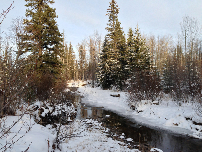 SnowshoeingWestBragg-2