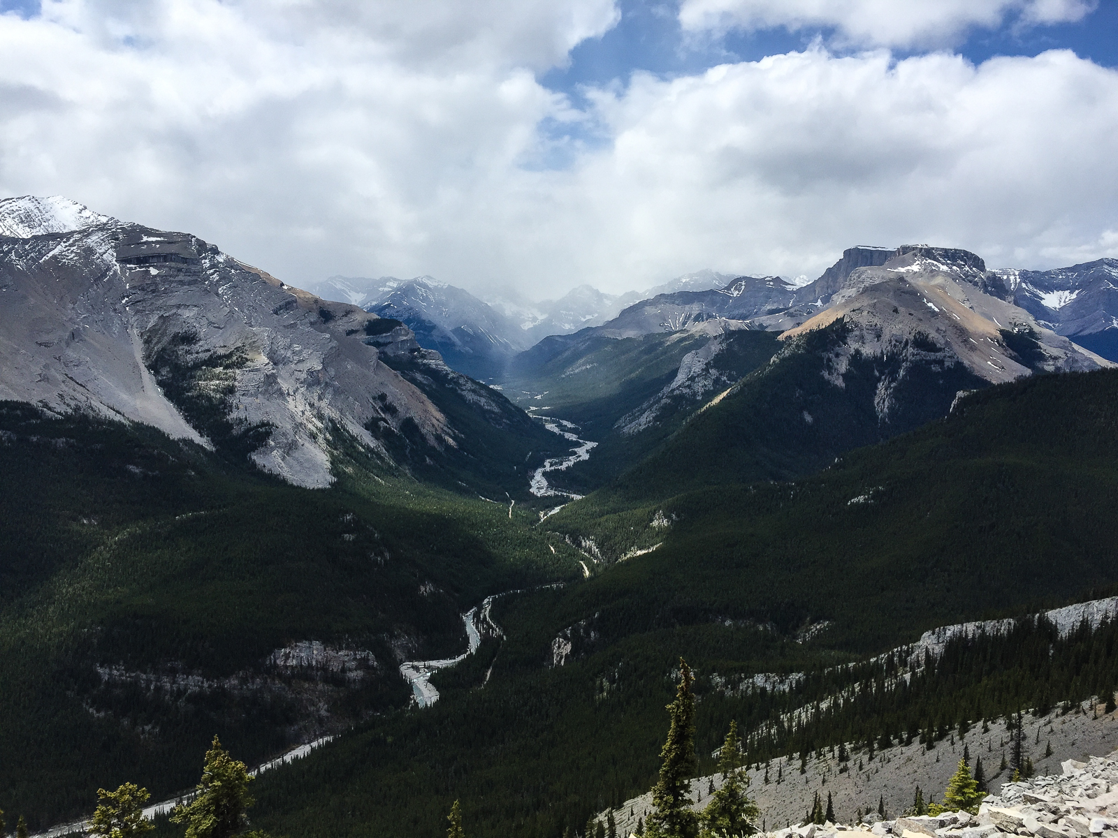 A beautiful view of the Elbow River