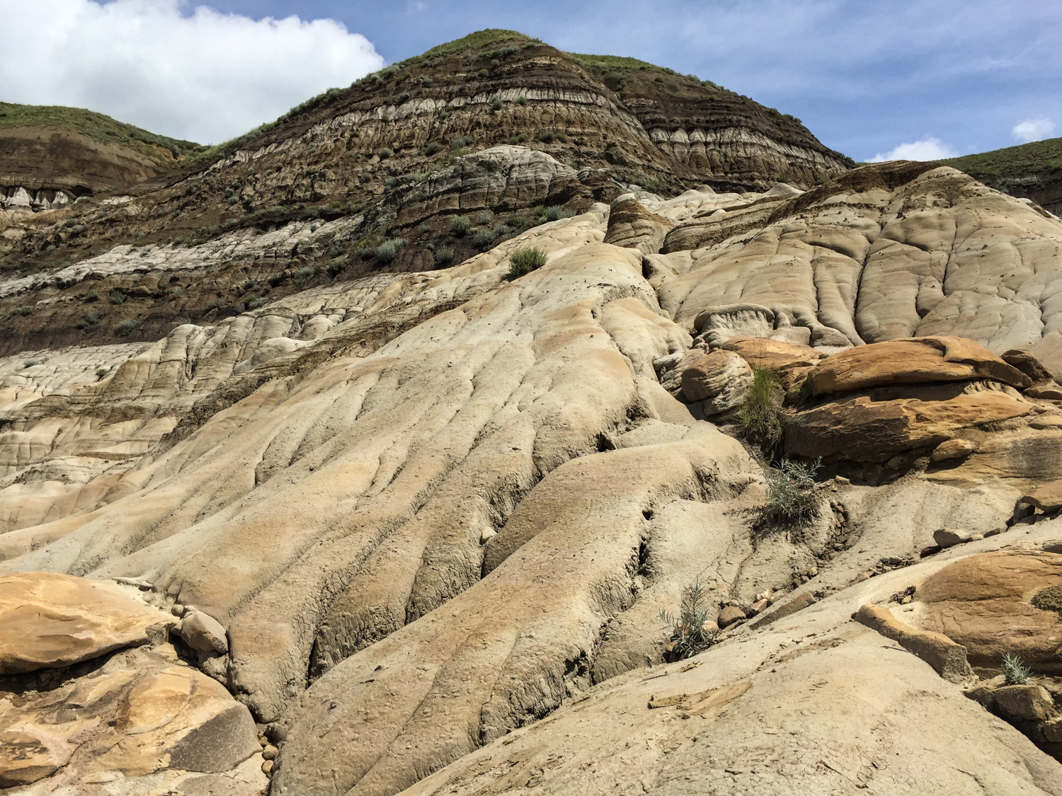 There's a lot of this kind of geological formation in the Red Deer River Valley in the east-central Alberta badlands