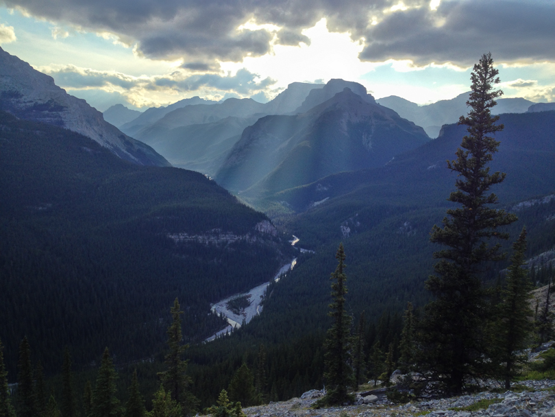 I should eat dinner here every night :)