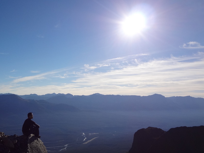 The Year of…&nbsp;2013