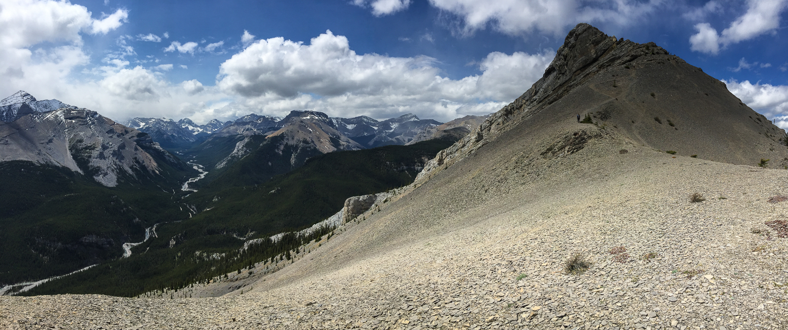 Although we didn't do the scree descent, it's definitely one I want to do again. So much fun.