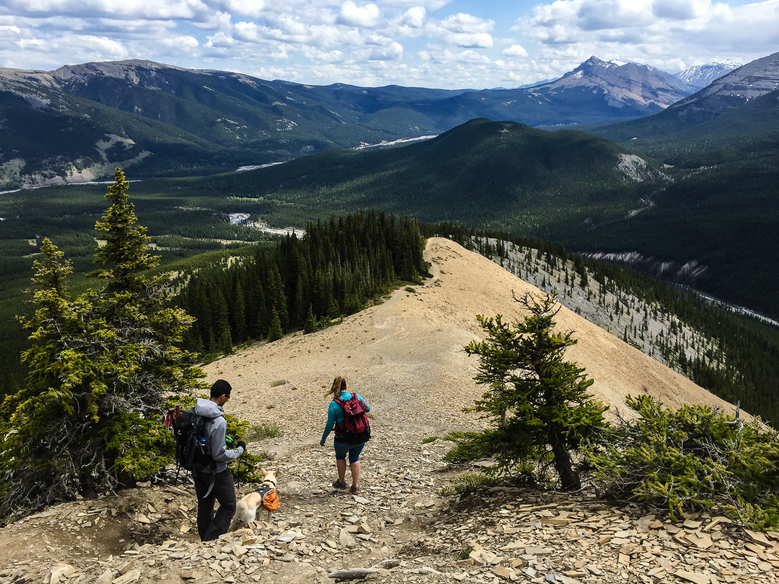 Descending on Nihahi Ridge Trail