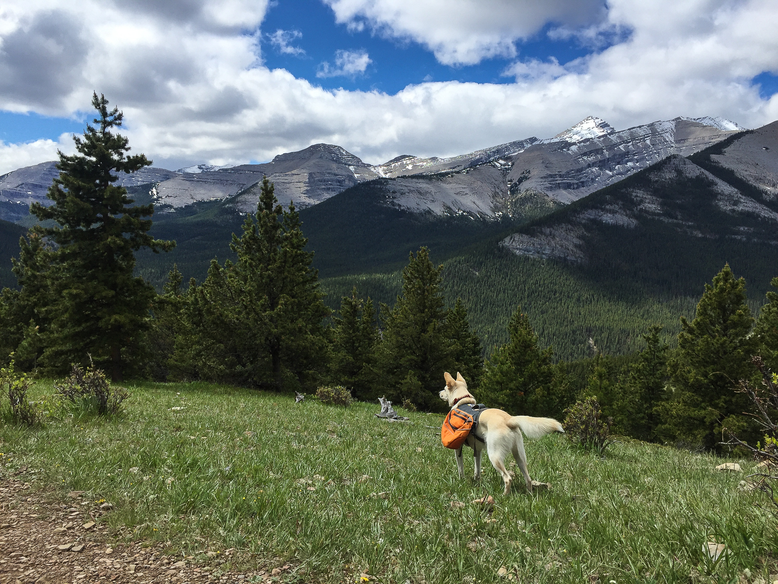 Jesse appreciating the views from the meadow