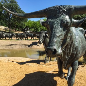 Steer at Pioneer Plaza