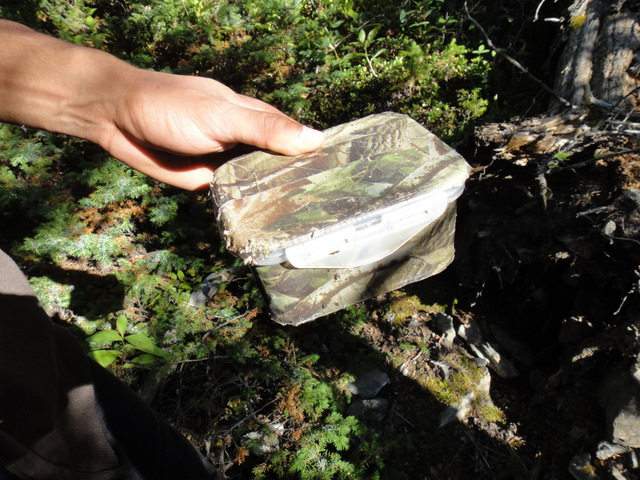 Our second geocache find of the day!