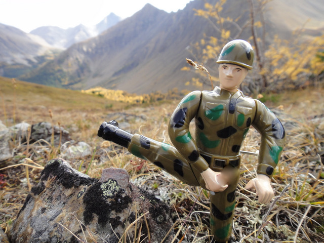 Sergeant on Pocaterra 