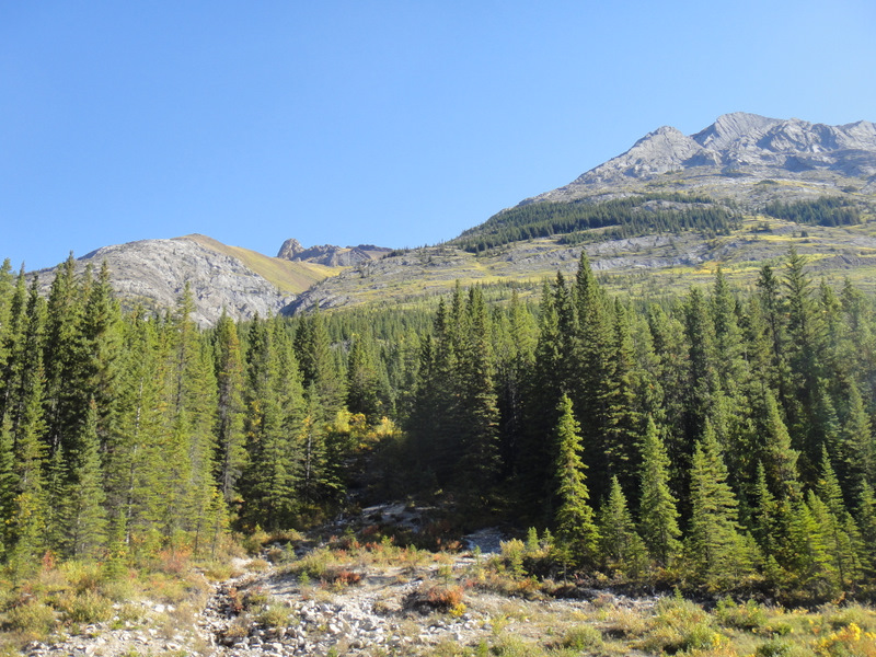 Opal Ridge... we conquered you!!